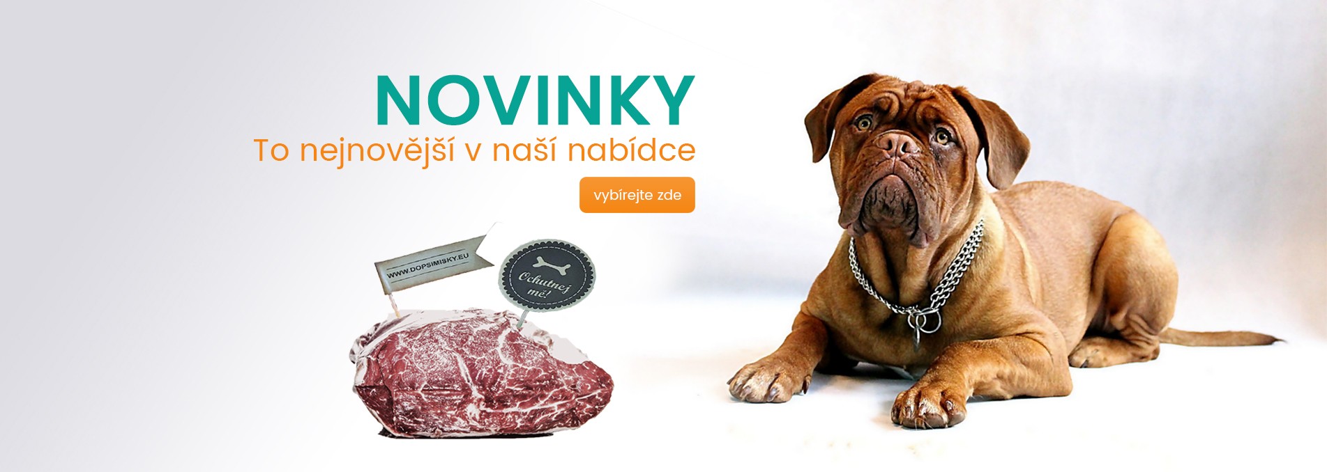 3153d4a1714892ddd88c3295f35fc935216658a9_Novinky slider.jpg